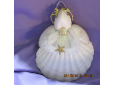 Shell Angels Shell Angels
