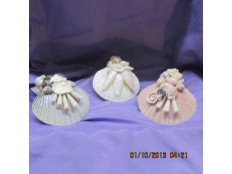 Shell Night Lights Shell Night Lights