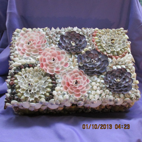 Shell Jewelry Box