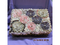 Shell Jewelry Box Shell Jewelry Box