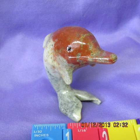Braceiated Jasper Dolphin on Tail