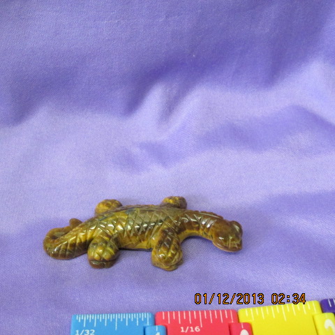 Tiger Eye Lizard