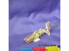 SoapStone Shark SoapStone Shark