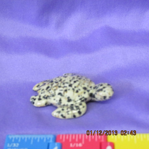 Dalmation Sea Turtle