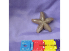 Purple Chalcedony Starfish