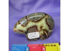 Septarian Zuny Bear Septarian Zuny Bear