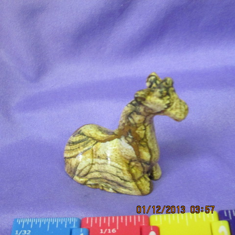 Picture Jasper Sitting Giraffe