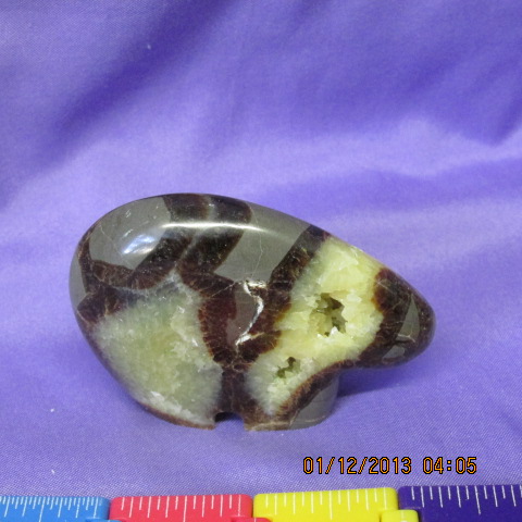 Septarian Zuni Bear