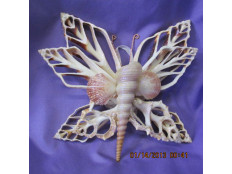 Seashell Butterfly Wall Hanging