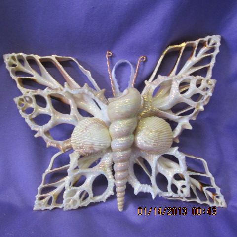 Seashell Butterfly Wall Hanging