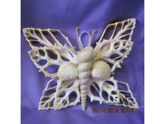 Seashell Butterfly Wall Hanging