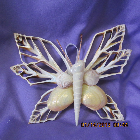 Seashell Butterfly Wall Hanging