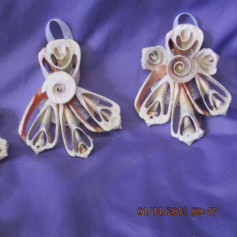 SeaShell Wall Hangers