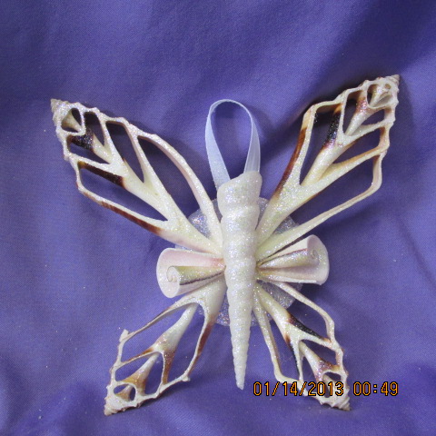 Round Sea Shell Wall Hanging