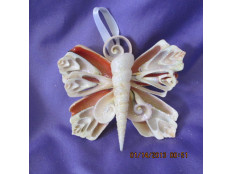 SeaShell Butterfly Hanger