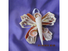 SeaShell Butterfly Hanger